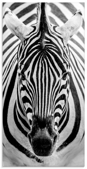Artland Glasbild »Zebra«, Wildtiere (1 Stück)-Bilder-Inspirationen