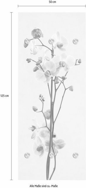 queence Garderobenpaneel »Orchidee«, mit 6 Haken, 50 x 120 cm-Garderoben-Inspirationen