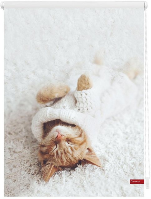 Seitenzugrollo »Klemmfix Digital Sleepy Cat«, LICHTBLICK ORIGINAL, verdunkelnd, ohne Bohren, freihängend, bedruckt-Rollos-Inspirationen