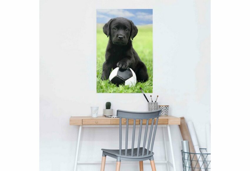 Reinders! Poster »Labrador Welpe Fußball«, (1 Stück)-Bilder-Ideen für dein Zuhause von Home Trends