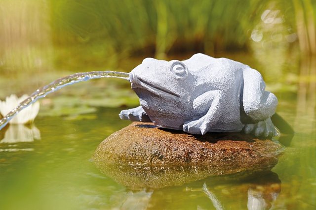 OASE Wasserspeier »Frosch«-Teichdekoration-Inspirationen