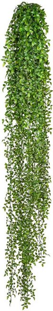Kunstranke »Ruscushänger« Blatthänger, Creativ green, Höhe 160 cm-Kunstpflanzen-Inspirationen