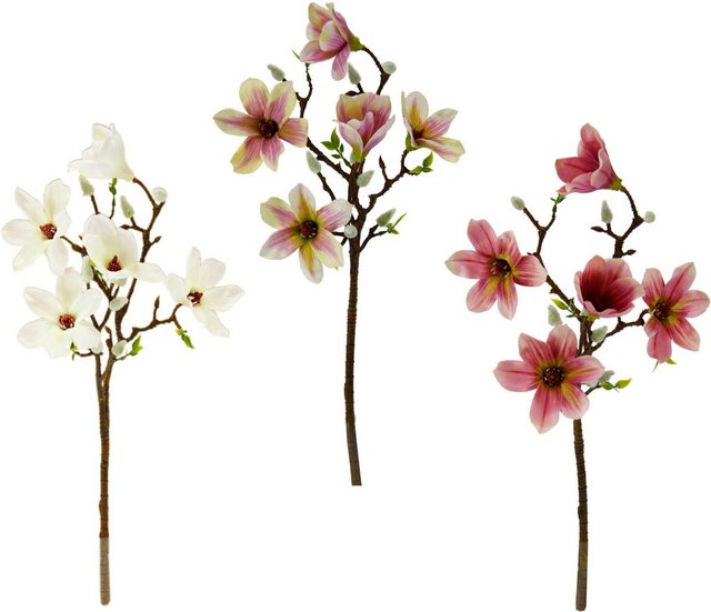 Kunstblume »Maira« Magnolie, my home, Höhe 49 cm, 3er Set-Kunstpflanzen-Inspirationen