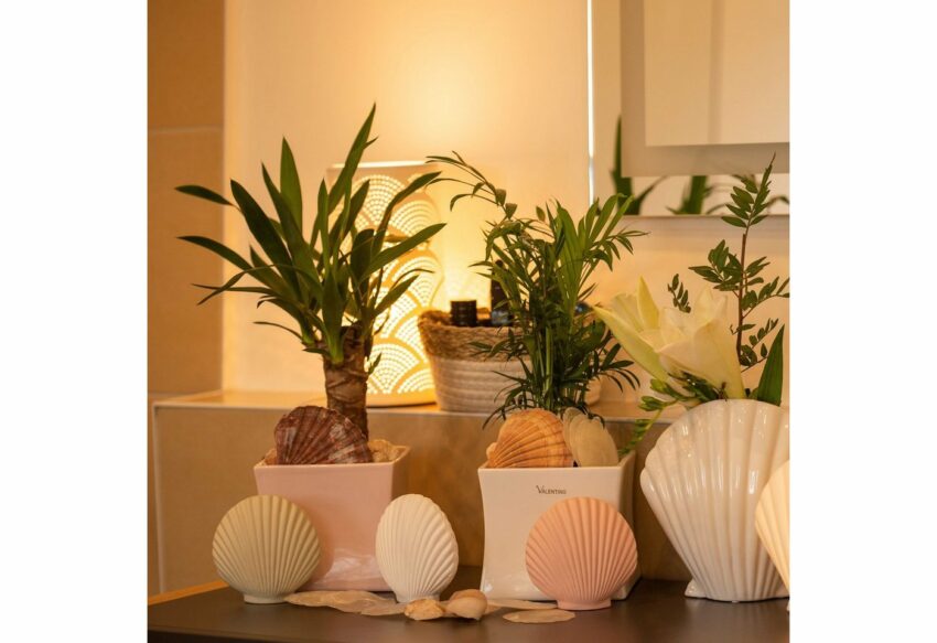 VALENTINO Wohnideen Dekoobjekt »Muschel Callista« (Set, 3 Stück), aus Keramik-Deko-Objekte-Ideen für dein Zuhause von Home Trends