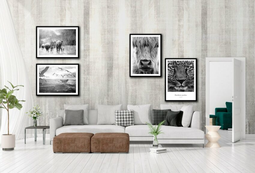 Spiegelprofi GmbH Bild »Vögel«, hochwertiger Kunstdruck, Rahmen schwarz-Bilder-Ideen für dein Zuhause von Home Trends