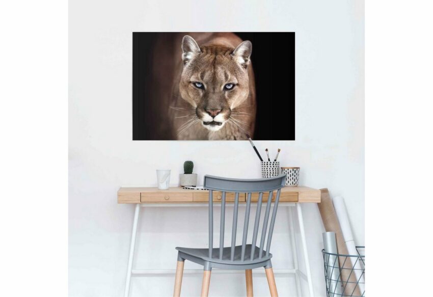 Reinders! Poster »Puma Nahaufnahme«, (1 Stück)-Bilder-Ideen für dein Zuhause von Home Trends