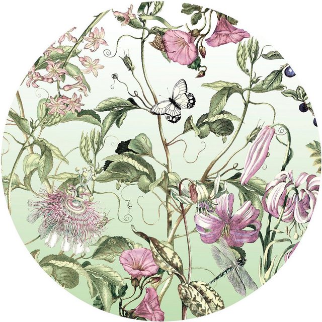Komar Fototapete »Louloudi«, glatt, Comic, botanisch, (Packung, 1 St), 125 x 125 cm-Tapeten-Inspirationen