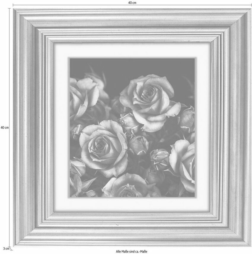 queence Acrylglasbild »Rosen Blüten«-Bilder-Ideen für dein Zuhause von Home Trends
