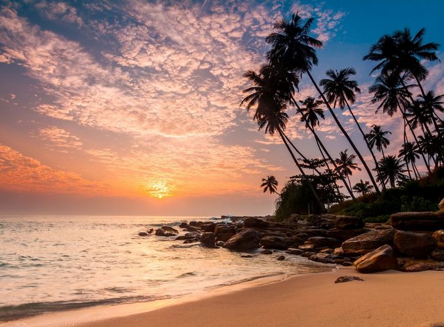 Papermoon Fototapete »Palm Beach Sri Lanka«, glatt-Tapeten-Inspirationen