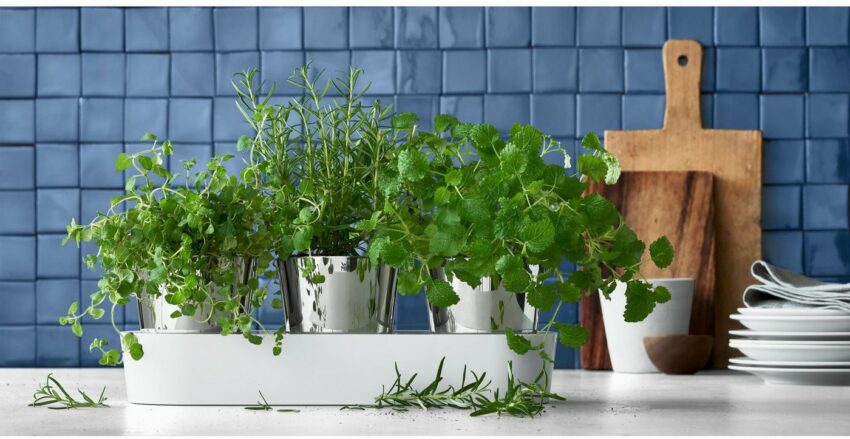 WMF Kräutertopf (Set, 7 Stück), mit Bewässerungssystem, Indoor-Pflanzgefäße-Ideen für dein Zuhause von Home Trends