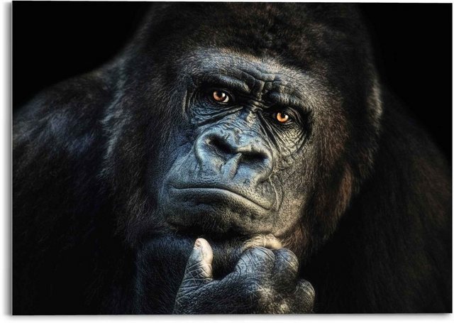 Reinders! Glasbild »Glasbild Gorilla Affe - Kräftig - Nachdenklich«, Affen (1 Stück)-Bilder-Inspirationen