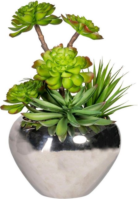 Kunstpflanze »Sukkulenten«, Creativ green, Höhe 35 cm-Kunstpflanzen-Inspirationen