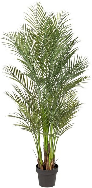 Kunstpalme »Arecapalme« Palme, Creativ green, Höhe 160 cm-Kunstpflanzen-Inspirationen