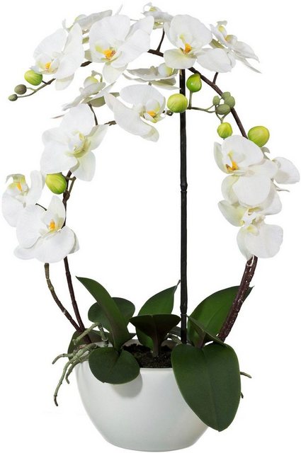 Kunstpflanze »Phalaenopsis« Orchidee, Creativ green, Höhe 52 cm-Kunstpflanzen-Inspirationen