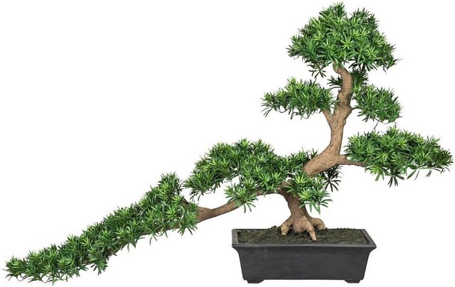 Kunstbonsai »Bonsai Podocarpus« Bonsai, Creativ green, Höhe 130 cm-Kunstpflanzen-Inspirationen