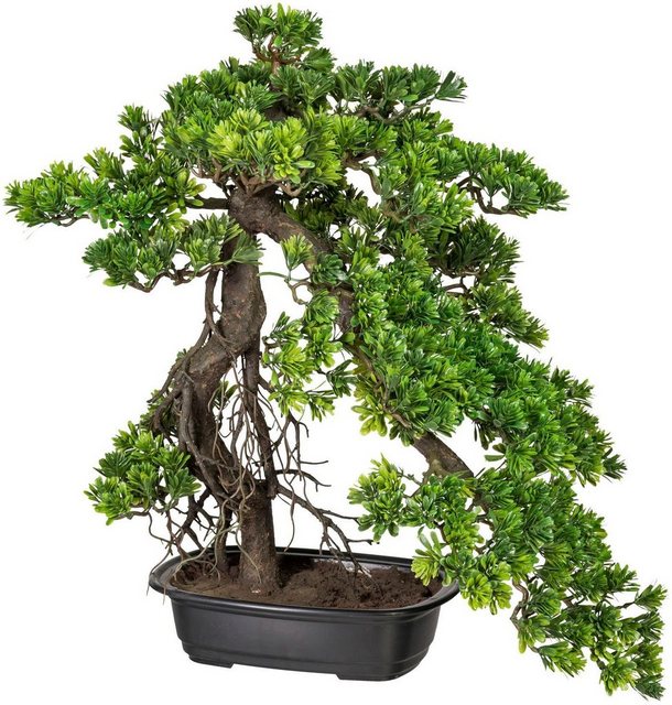 Kunstbonsai »Bonsai Podocarpus« Bonsai, Creativ green, Höhe 55 cm-Kunstpflanzen-Inspirationen