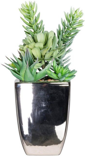 Kunstpflanze »Sukkulenten«, Creativ green, Höhe 38 cm-Kunstpflanzen-Inspirationen