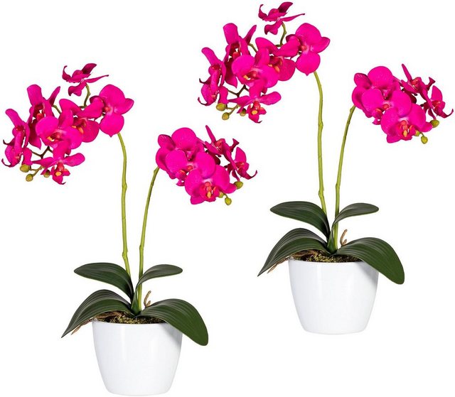 Kunstpflanze »Phalaenopsis« Orchidee, Creativ green, Höhe 50 cm-Kunstpflanzen-Inspirationen