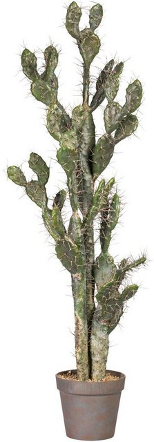 Kunstpflanze »Kaktus Opuntie«, Creativ green, Höhe 133 cm-Kunstpflanzen-Inspirationen