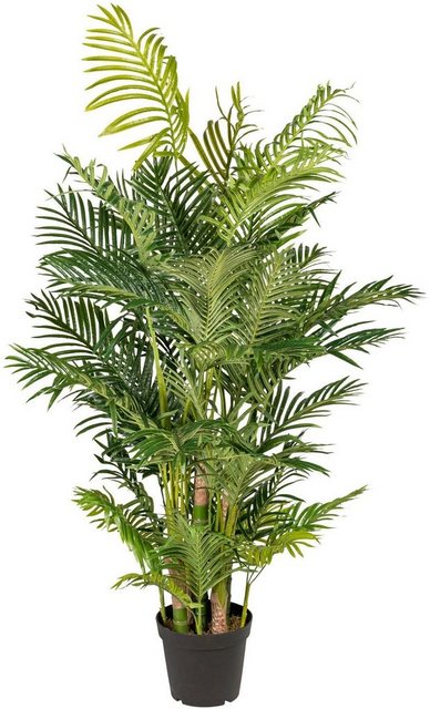 Kunstpalme »Arecapalme« Palme, Creativ green, Höhe 170 cm-Kunstpflanzen-Inspirationen