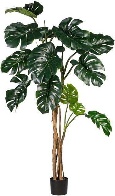 Kunstpflanze »Splitphilodendron«, Creativ green, Höhe 170 cm-Kunstpflanzen-Inspirationen