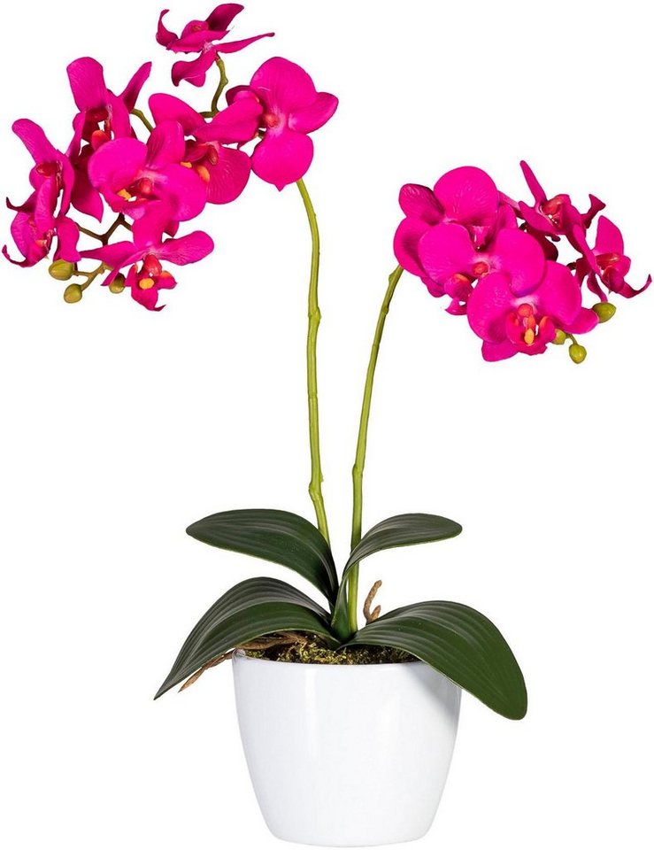 Kunstpflanze »Phalaenopsis« Orchidee, Creativ green, Höhe 50 cm-Kunstpflanzen-Ideen für dein Zuhause von Home Trends
