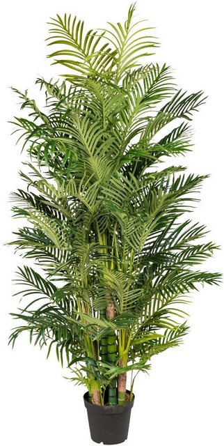 Kunstpalme »Arecapalme« Palme, Creativ green, Höhe 220 cm-Kunstpflanzen-Inspirationen