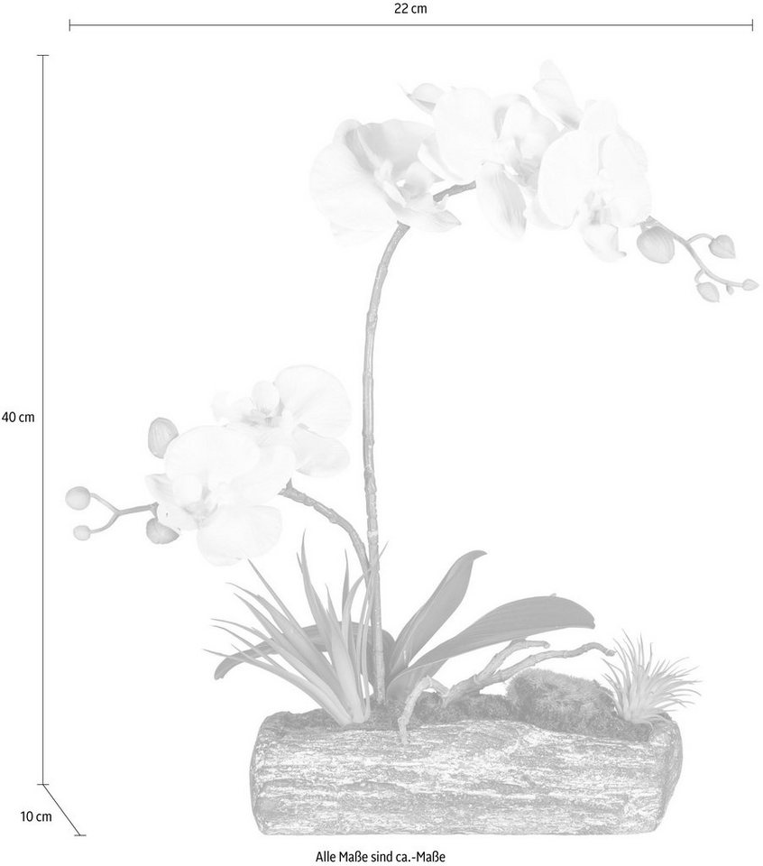 Kunstpflanze »Phalaenopsis« Orchidee, Creativ green, Höhe 40 cm-Kunstpflanzen-Ideen für dein Zuhause von Home Trends