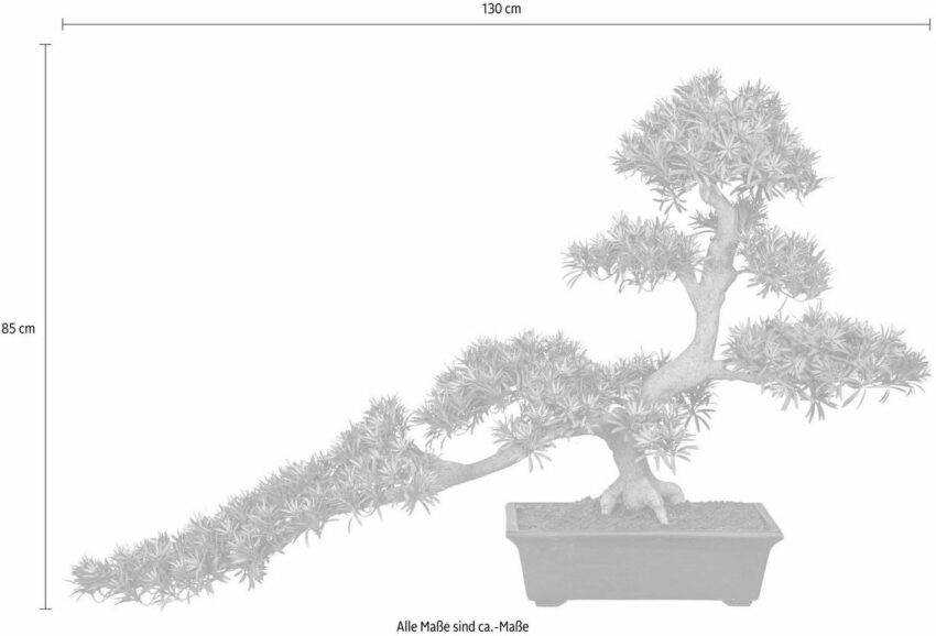 Kunstbonsai »Bonsai Podocarpus« Bonsai, Creativ green, Höhe 130 cm-Kunstpflanzen-Ideen für dein Zuhause von Home Trends