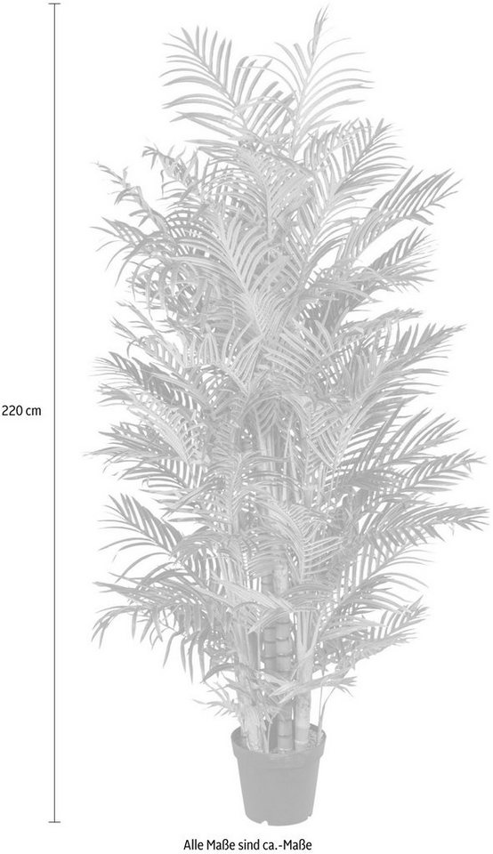 Kunstpalme »Arecapalme« Palme, Creativ green, Höhe 220 cm-Kunstpflanzen-Ideen für dein Zuhause von Home Trends
