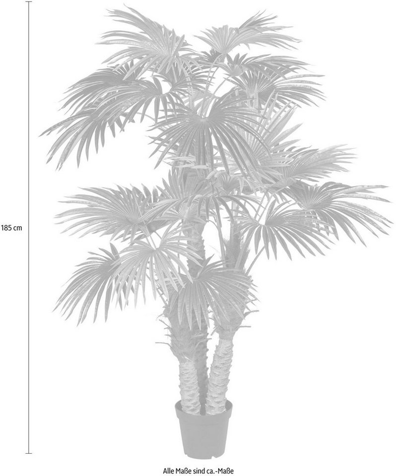 Kunstpalme »Fächerpalme« Palme, Creativ green, Höhe 185 cm-Kunstpflanzen-Ideen für dein Zuhause von Home Trends