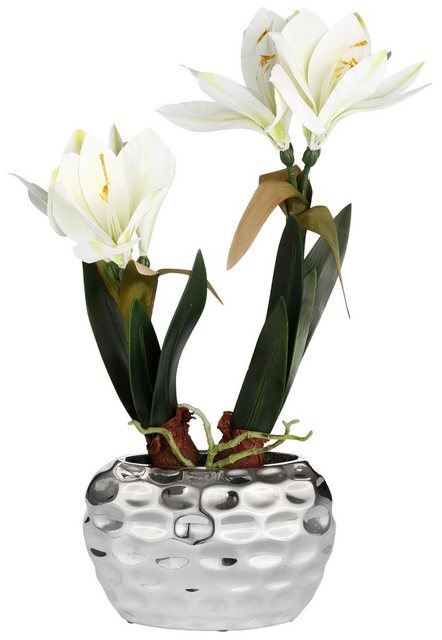 Kunstblume »Amaryllis«, my home, Höhe 49 cm, Fest verankert im Keramiktopf-Kunstpflanzen-Inspirationen