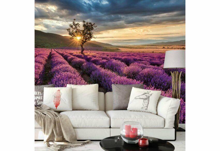 Wall-Art Vliestapete »Lavendelblüte in der Provence«-Tapeten-Ideen für dein Zuhause von Home Trends