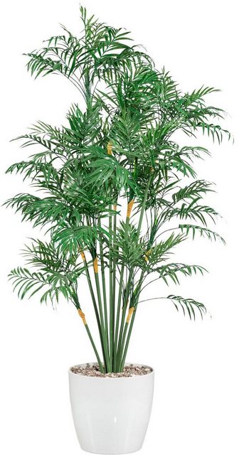 Kunstpalme Palme, Creativ green, Höhe 90 cm-Kunstpflanzen-Inspirationen