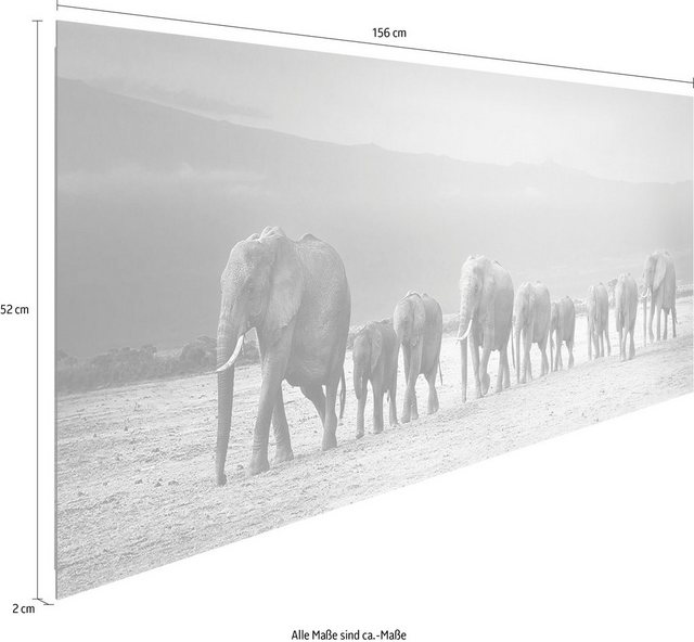 Reinders! Holzbild »Deco Panel 52x156 Line of Elephants«-Bilder-Inspirationen