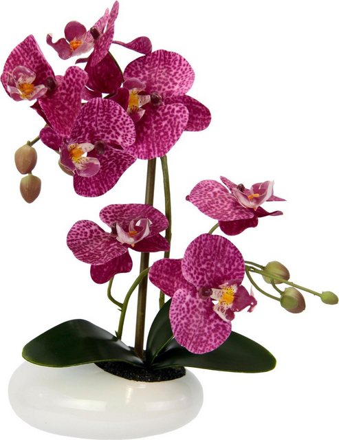 Kunstpflanze »Phalaenopsis in Schale«, I.GE.A., Höhe 8 cm-Kunstpflanzen-Inspirationen