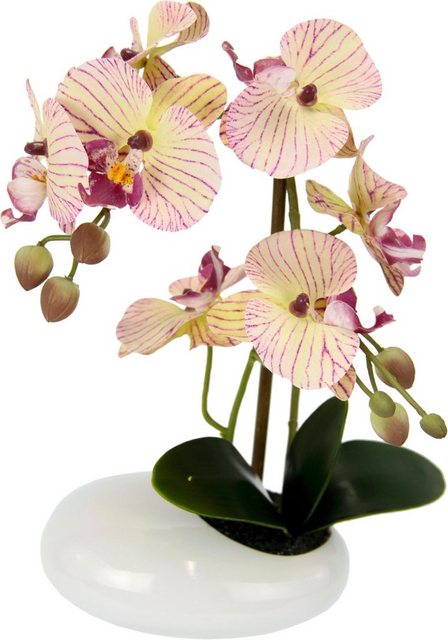 Kunstpflanze »Phalaenopsis in Schale«, I.GE.A., Höhe 28 cm-Kunstpflanzen-Inspirationen