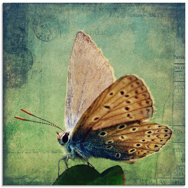 Artland Glasbild »Kleiner Schmetterling«, Insekten (1 Stück)-Bilder-Inspirationen