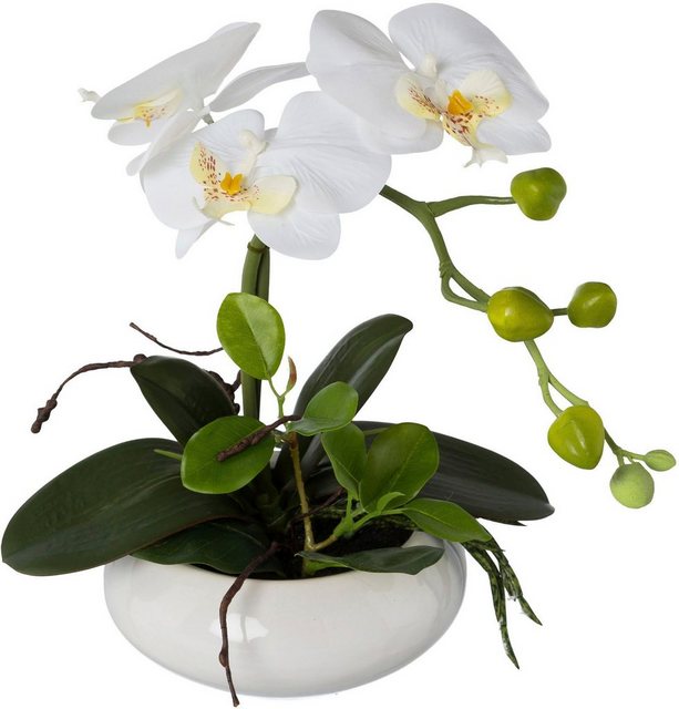Kunstorchidee »Phalaenopsis«, Creativ green, Höhe 32 cm, in Keramikschale-Kunstpflanzen-Inspirationen