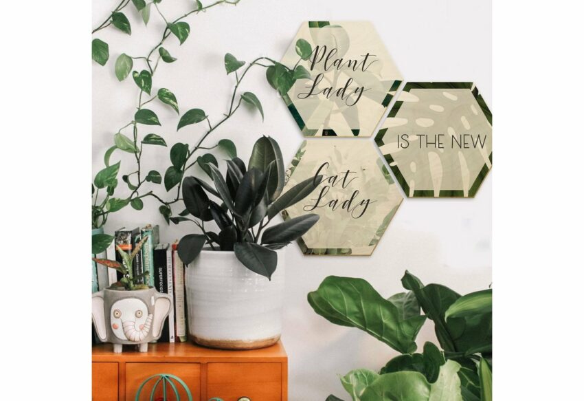 Wall-Art Holzbild »Plantlady is the new Catlady«, (Set)-Bilder-Ideen für dein Zuhause von Home Trends