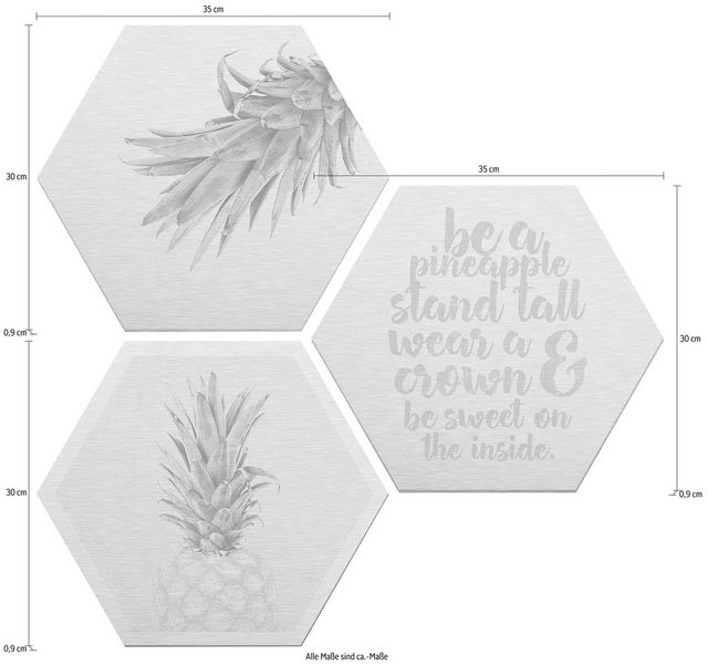 Wall-Art Alu-Dibond-Druck »Ananas«, (Set)-Bilder-Inspirationen