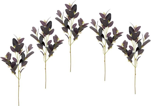 Kunstblume »Perückenstrauchzweig«, I.GE.A., Höhe 68 cm, 5er Set-Kunstpflanzen-Inspirationen