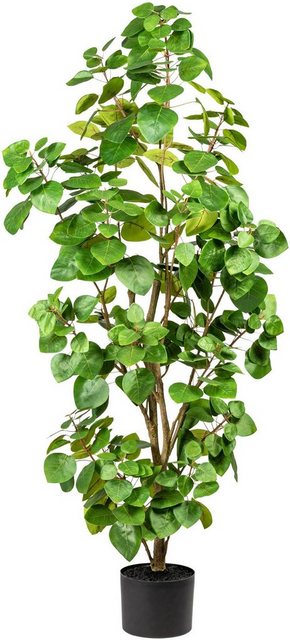 Kunstpflanze »Banon« Eukalyptus, Leonique, Höhe 120 cm, im Topf-Kunstpflanzen-Inspirationen