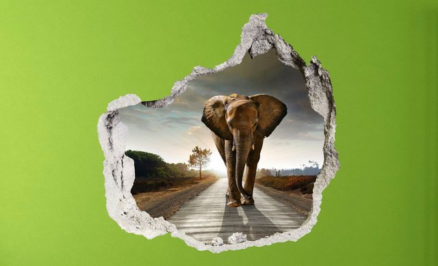 Conni Oberkircher´s Wandsticker »3 D Sticker Beton Elephant - Großer Elefant«, Wildtiere-Wandtattoos-Inspirationen