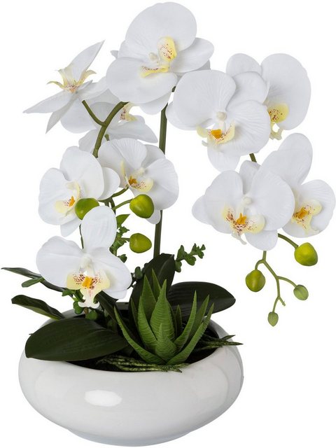 Kunstorchidee »Phalaenopsis«, Creativ green, Höhe 43 cm, in Keramikschale-Kunstpflanzen-Inspirationen