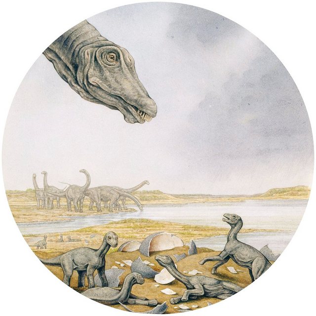 Komar Fototapete »Young Titanosaurs«, glatt, bedruckt, Comic, Retro, mehrfarbig, BxH: 128x128 cm, selbstklebend-Tapeten-Inspirationen