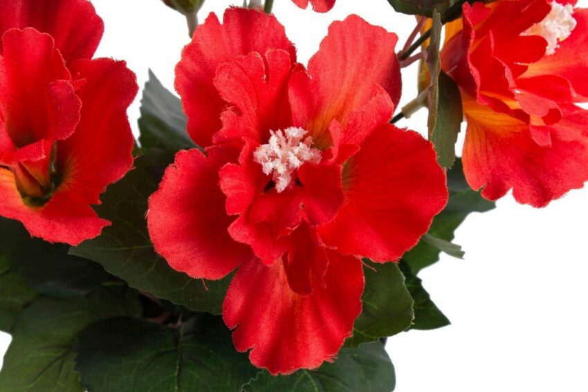 Kunstblume »Hibiskus im Topf« Hibiskus, Botanic-Haus, Höhe 27 cm-Kunstpflanzen-Ideen für dein Zuhause von Home Trends