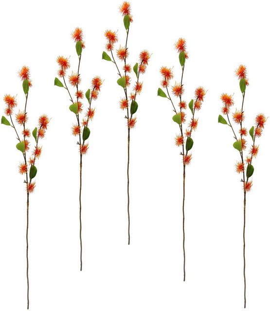 Kunstblume »Zaubernuss«, I.GE.A., Höhe 100 cm, 5er Set-Kunstpflanzen-Inspirationen