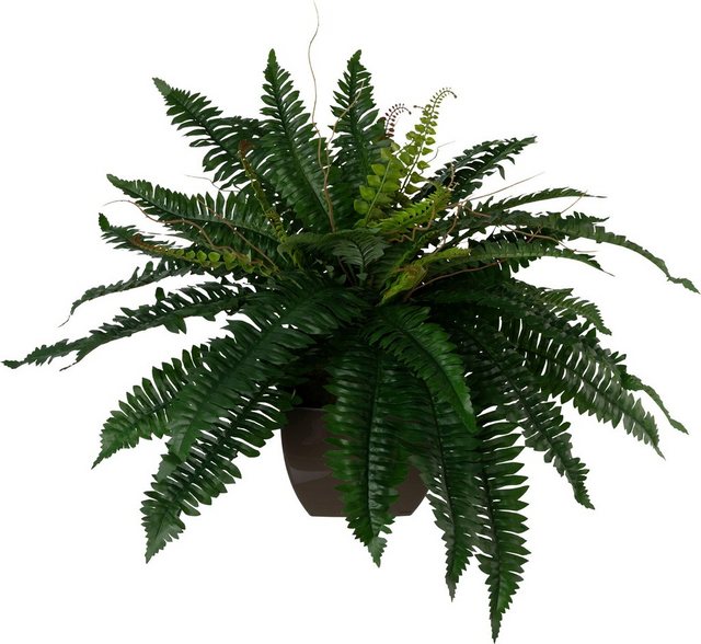 Kunstpflanze, Creativ green, Höhe 55 cm-Kunstpflanzen-Inspirationen