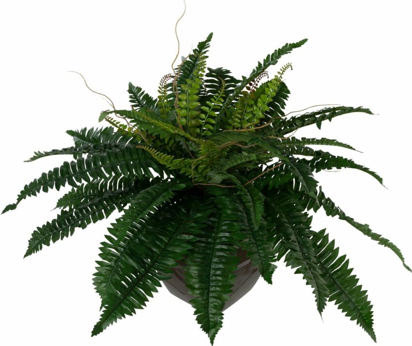Kunstpflanze, Creativ green, Höhe 55 cm-Kunstpflanzen-Ideen für dein Zuhause von Home Trends
